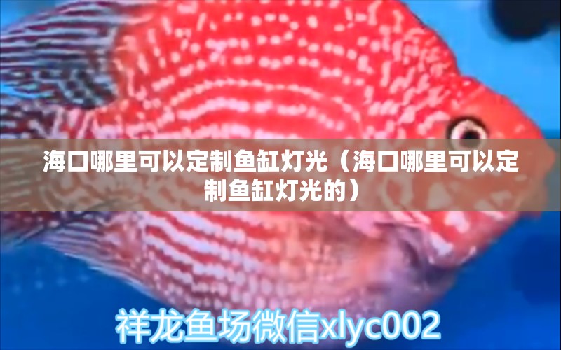 海口哪里可以定制鱼缸灯光（海口哪里可以定制鱼缸灯光的） 照明器材