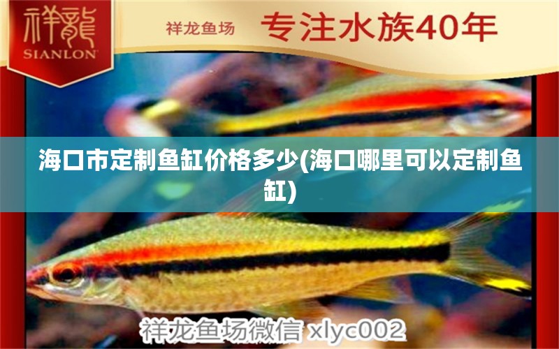 海口市定制鱼缸价格多少(海口哪里可以定制鱼缸)