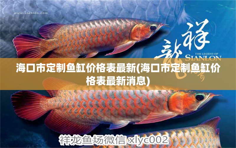 海口市定制鱼缸价格表最新(海口市定制鱼缸价格表最新消息) 祥龙传奇品牌鱼缸