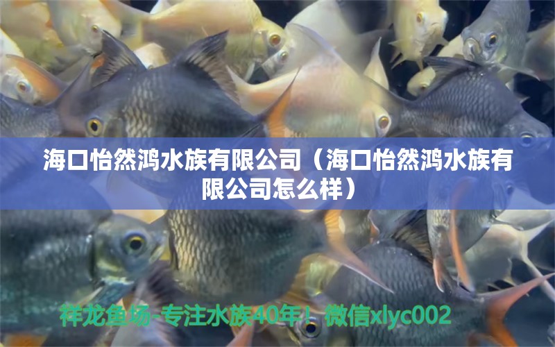 海口怡然鸿水族有限公司（海口怡然鸿水族有限公司怎么样）