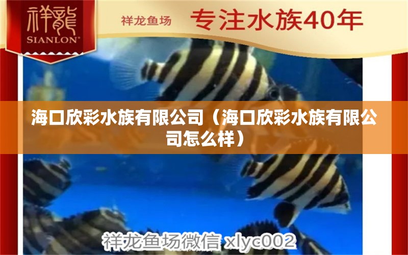 海口欣彩水族有限公司（海口欣彩水族有限公司怎么样） 全国水族馆企业名录