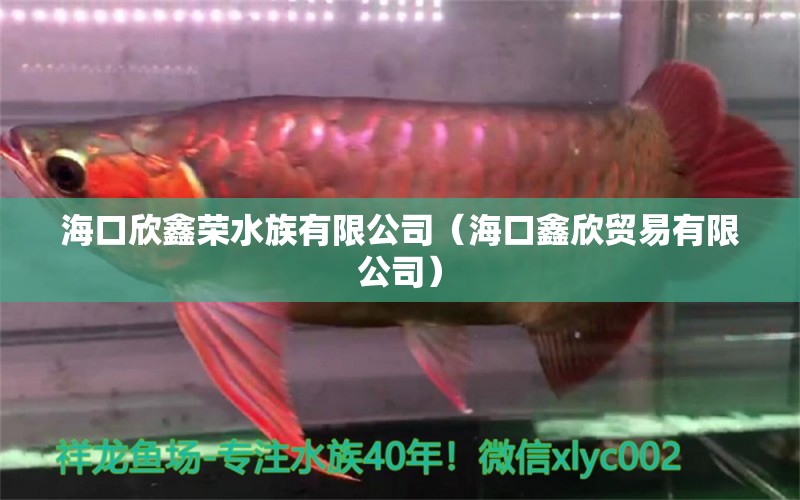 海口欣鑫荣水族有限公司（海口鑫欣贸易有限公司） 全国水族馆企业名录