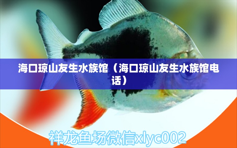 海口琼山友生水族馆（海口琼山友生水族馆电话）