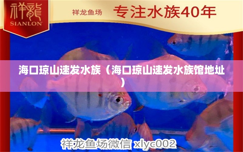 海口琼山速发水族（海口琼山速发水族馆地址） 全国水族馆企业名录