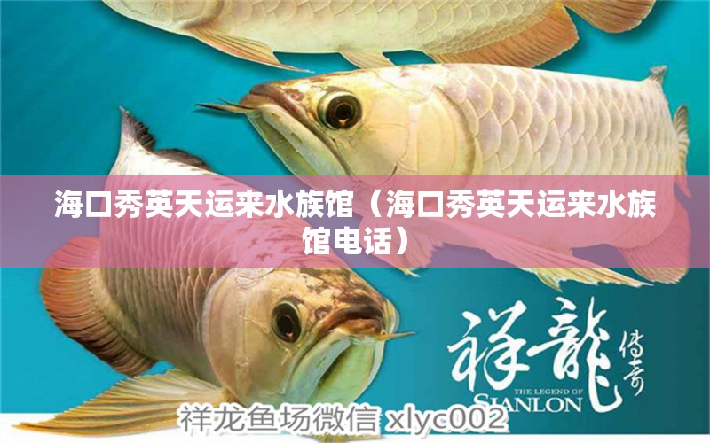 海口秀英天运来水族馆（海口秀英天运来水族馆电话）