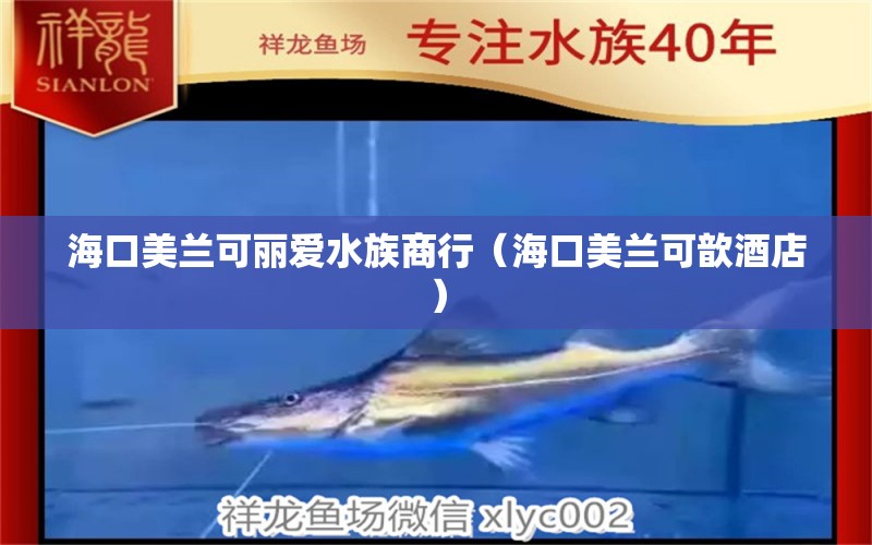 海口美兰可丽爱水族商行（海口美兰可歆酒店） 全国水族馆企业名录