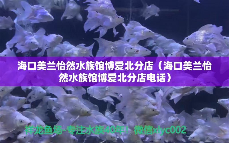 海口美兰怡然水族馆博爱北分店（海口美兰怡然水族馆博爱北分店电话） 全国水族馆企业名录