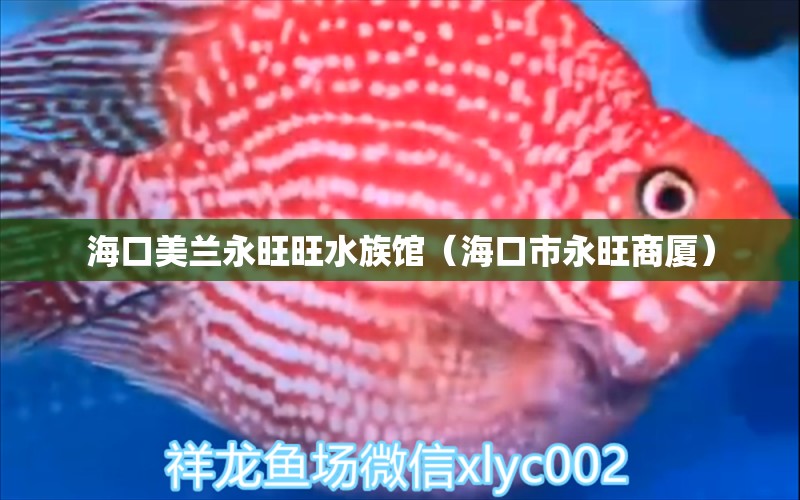 海口美兰永旺旺水族馆（海口市永旺商厦）