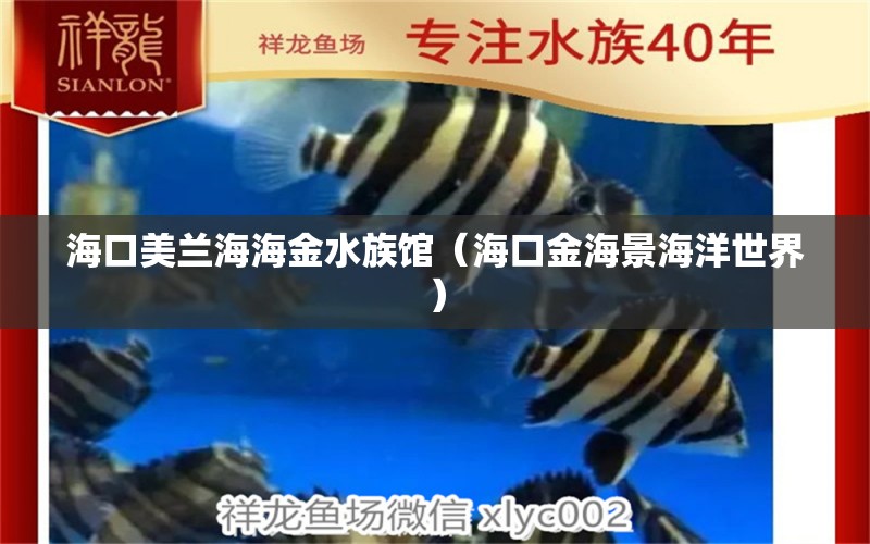 海口美兰海海金水族馆（海口金海景海洋世界）