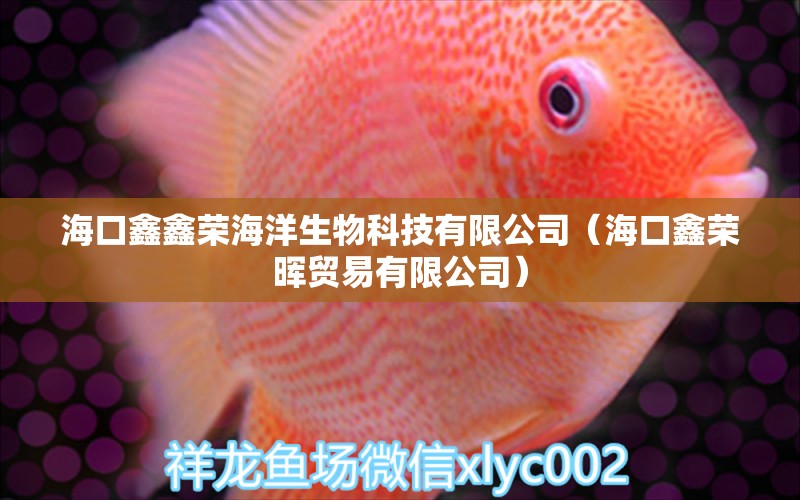 海口鑫鑫荣海洋生物科技有限公司（海口鑫荣晖贸易有限公司）