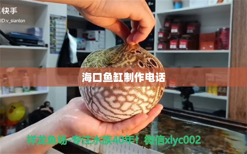 海口鱼缸制作电话