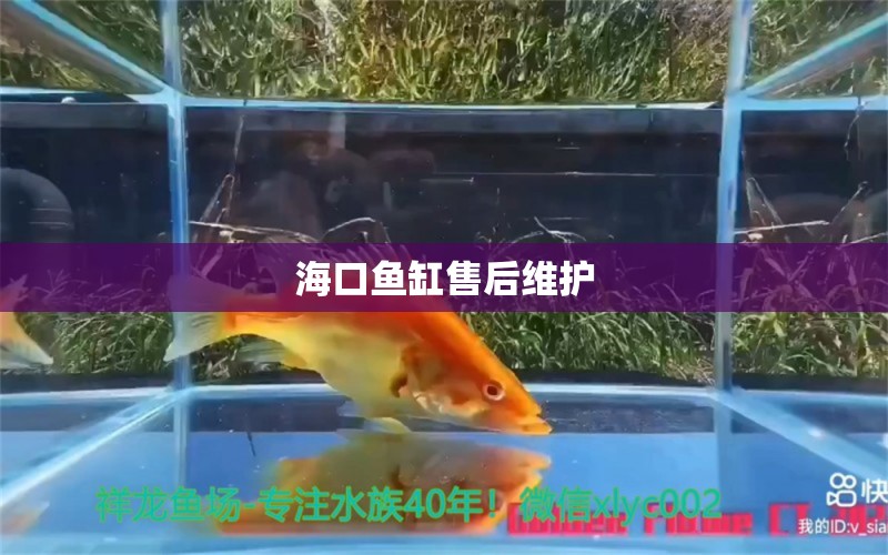 海口鱼缸售后维护