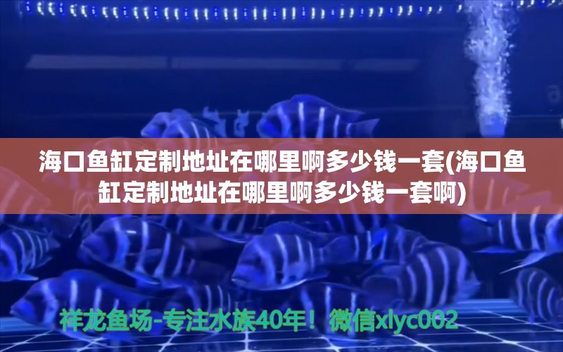 海口鱼缸定制地址在哪里啊多少钱一套(海口鱼缸定制地址在哪里啊多少钱一套啊) 胭脂孔雀龙鱼