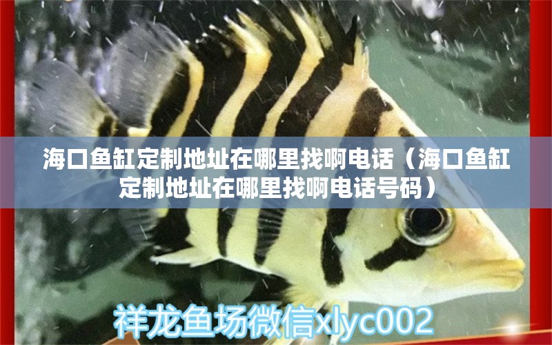 海口鱼缸定制地址在哪里找啊电话（海口鱼缸定制地址在哪里找啊电话号码）