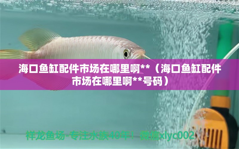 海口鱼缸配件市场在哪里啊**（海口鱼缸配件市场在哪里啊**号码）