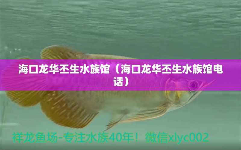 海口龙华丕生水族馆（海口龙华丕生水族馆电话） 全国水族馆企业名录