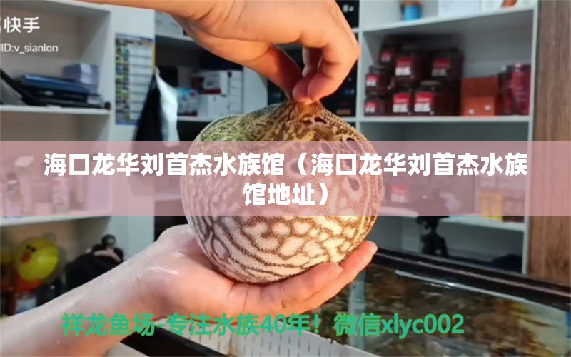 海口龙华刘首杰水族馆（海口龙华刘首杰水族馆地址）