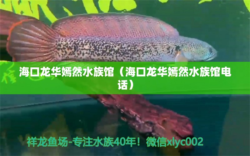 海口龙华嫣然水族馆（海口龙华嫣然水族馆电话）