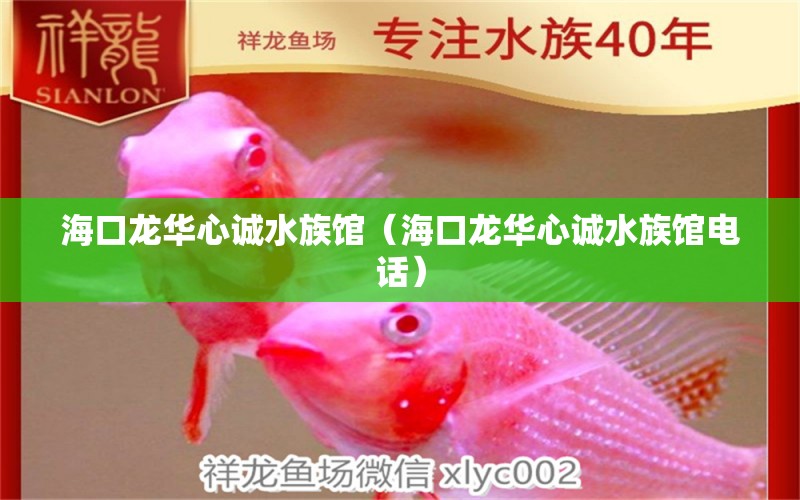 海口龙华心诚水族馆（海口龙华心诚水族馆电话） 全国水族馆企业名录