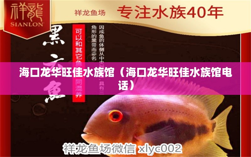 海口龙华旺佳水族馆（海口龙华旺佳水族馆电话） 全国水族馆企业名录