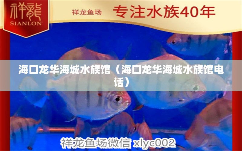 海口龙华海城水族馆（海口龙华海城水族馆电话） 全国水族馆企业名录