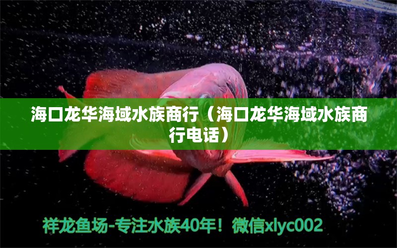 海口龙华海域水族商行（海口龙华海域水族商行电话）