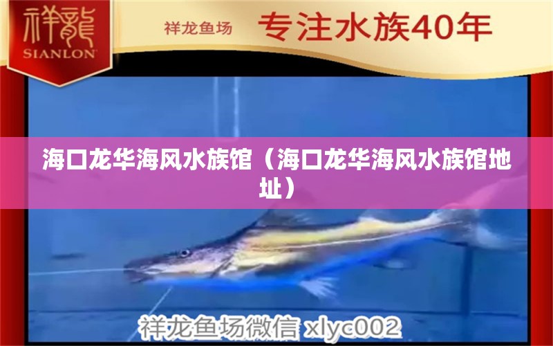 海口龙华海风水族馆（海口龙华海风水族馆地址） 鱼缸风水