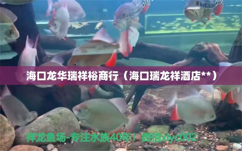 海口龙华瑞祥裕商行（海口瑞龙祥酒店**） 全国水族馆企业名录