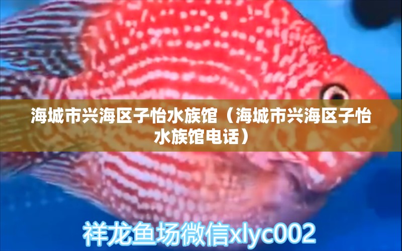 海城市兴海区子怡水族馆（海城市兴海区子怡水族馆电话）