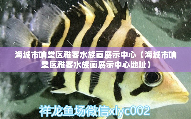 海城市响堂区雅客水族画展示中心（海城市响堂区雅客水族画展示中心地址）