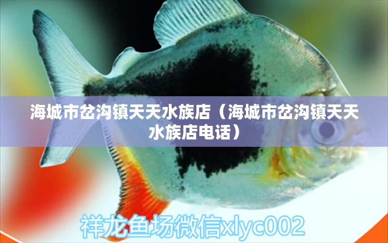 海城市岔沟镇天天水族店（海城市岔沟镇天天水族店电话）