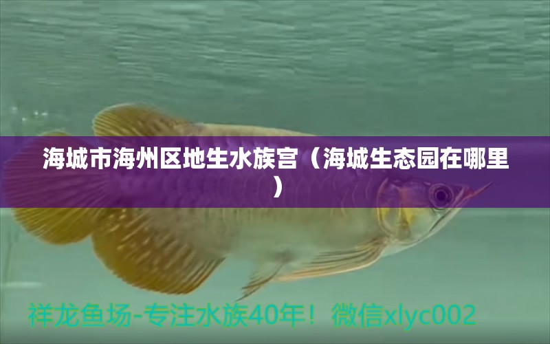 海城市海州区地生水族宫（海城生态园在哪里）