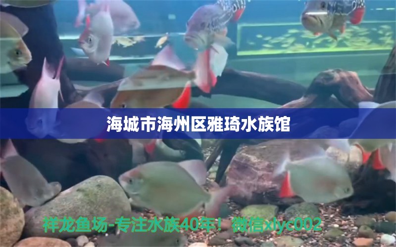 海城市海州区雅琦水族馆