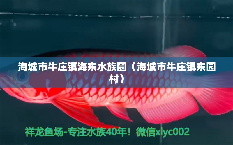 海城市牛庄镇海东水族圜（海城市牛庄镇东园村）