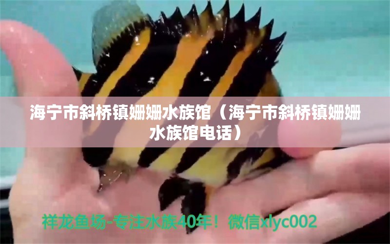 海宁市斜桥镇姗姗水族馆（海宁市斜桥镇姗姗水族馆电话） 全国水族馆企业名录