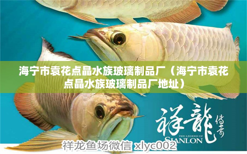 海宁市袁花点晶水族玻璃制品厂（海宁市袁花点晶水族玻璃制品厂地址）