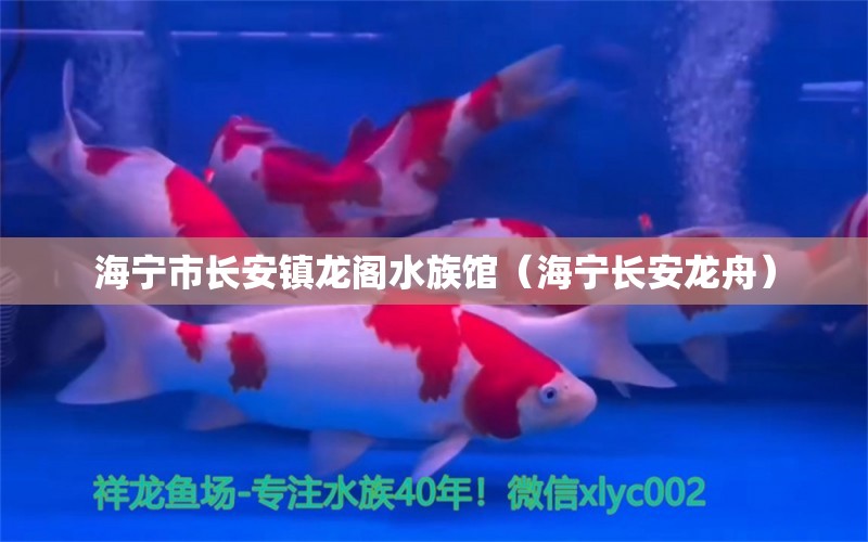 海宁市长安镇龙阁水族馆（海宁长安龙舟） 全国水族馆企业名录