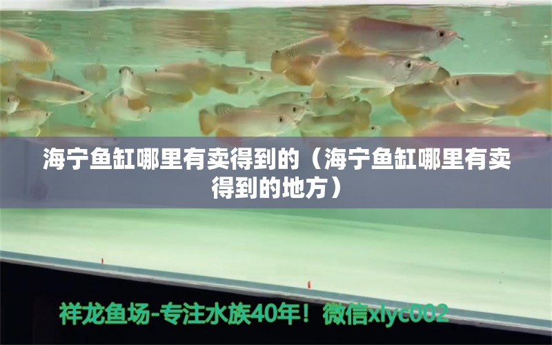 海宁鱼缸哪里有卖得到的（海宁鱼缸哪里有卖得到的地方）