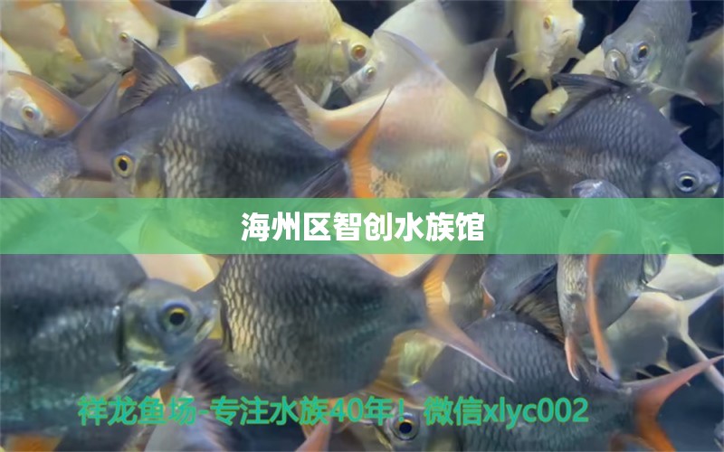 海州区智创水族馆 全国水族馆企业名录