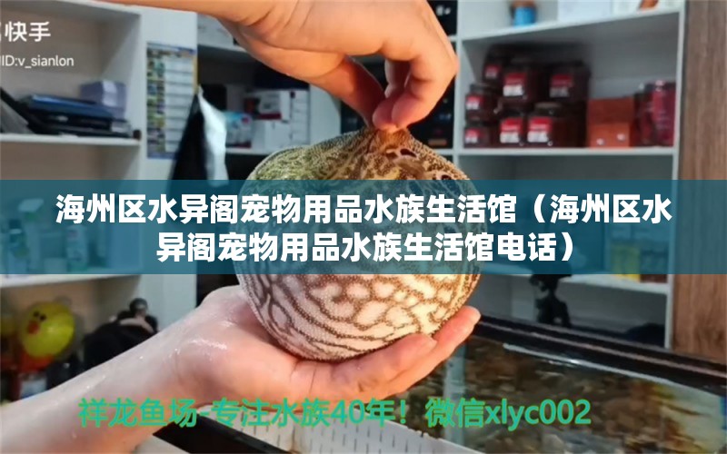 海州区水异阁宠物用品水族生活馆（海州区水异阁宠物用品水族生活馆电话）