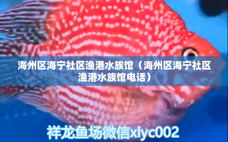 海州区海宁社区渔港水族馆（海州区海宁社区渔港水族馆电话）