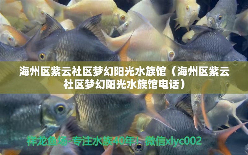 海州区紫云社区梦幻阳光水族馆（海州区紫云社区梦幻阳光水族馆电话） 全国水族馆企业名录