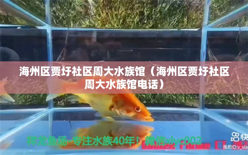 海州区贾圩社区周大水族馆（海州区贾圩社区周大水族馆电话） 全国水族馆企业名录