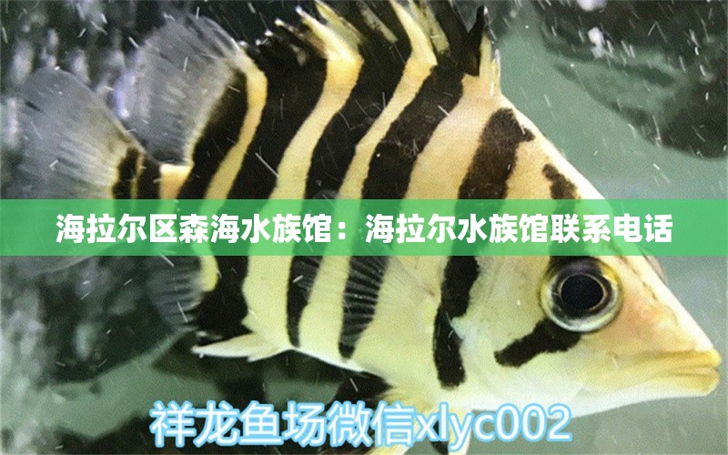 海拉尔区森海水族馆：海拉尔水族馆联系电话