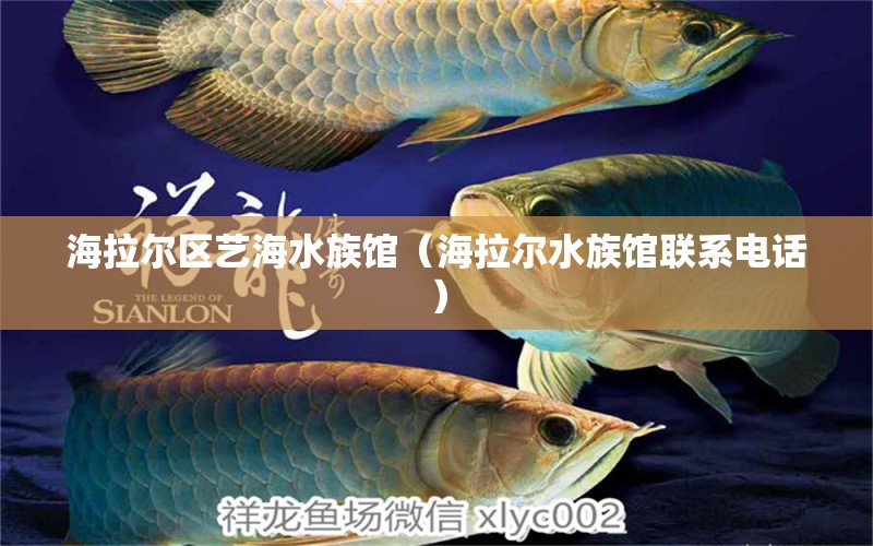 海拉尔区艺海水族馆（海拉尔水族馆联系电话） 全国水族馆企业名录