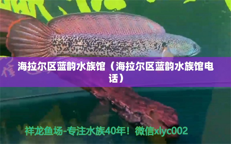 海拉尔区蓝韵水族馆（海拉尔区蓝韵水族馆电话）