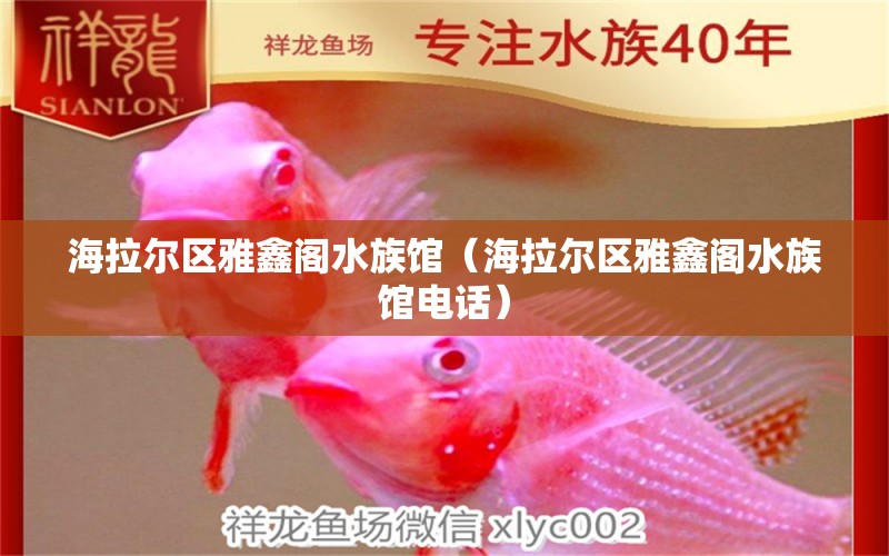 海拉尔区雅鑫阁水族馆（海拉尔区雅鑫阁水族馆电话） 全国水族馆企业名录