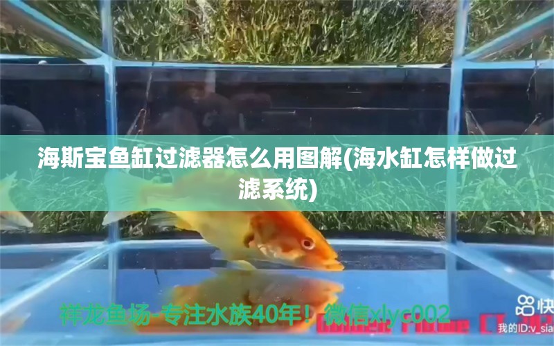 海斯宝鱼缸过滤器怎么用图解(海水缸怎样做过滤系统)