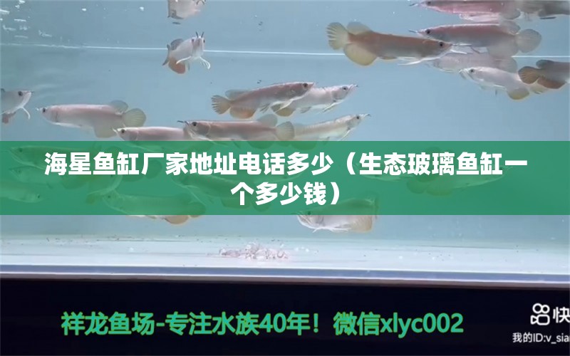 海星鱼缸厂家地址电话多少（生态玻璃鱼缸一个多少钱） 哥伦比亚巨暴鱼苗 第1张