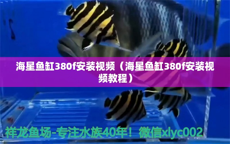 海星鱼缸380f安装视频（海星鱼缸380f安装视频教程） 量子养鱼技术